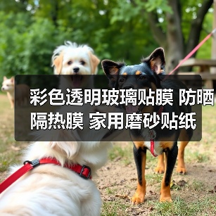 彩色透明玻璃贴膜 防晒隔热膜 家用磨砂贴纸 定制宽度多选（图2）