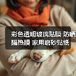 彩色透明玻璃贴膜 防晒隔热膜 家用磨砂贴纸 定制宽度多选（图4）