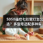 5050遥控七彩雾灯怎么选？多型号适配多种车型（图2）