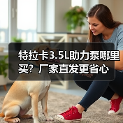 特拉卡3.5L助力泵哪里买？厂家直发更省心（图2）