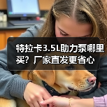 特拉卡3.5L助力泵哪里买？厂家直发更省心（图1）