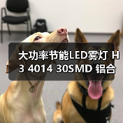 大功率节能LED雾灯 H3 4014 30SMD 铝合金车灯(图1) 大功率节能LED雾灯 H3 4014 30SMD 铝合金车灯(图1)