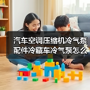汽车空调压缩机冷气泵配件冷藏车冷气泵怎么选？（图2）