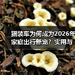 猎装车为何成为2026年家庭出行新宠?实用与颜值兼具(图2) 猎装车为何成为2026年家庭出行新宠?实用与颜值兼具(图2)