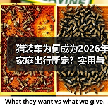 猎装车为何成为2026年家庭出行新宠?实用与颜值兼具(图4) 猎装车为何成为2026年家庭出行新宠?实用与颜值兼具(图4)