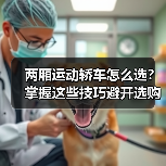 两厢运动轿车怎么选？掌握这些技巧避开选购陷阱