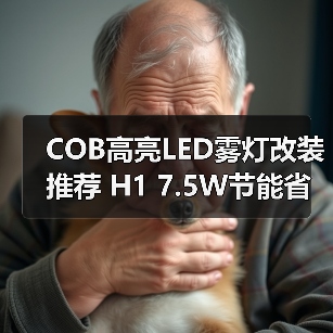 COB高亮LED雾灯改装推荐 H1 7.5W节能省电前灯（图4）