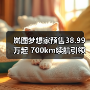 岚图梦想家预售38.99万起 700km续航引领豪华MPV新体验（图2）