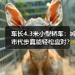 车长4.3米小型轿车:城市代步真能轻松应对?(图2) 车长4.3米小型轿车:城市代步真能轻松应对?(图2)