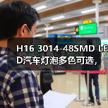 H16 3014-48SMD LED汽车灯泡多色可选，超亮耐用如何选？（图2）
