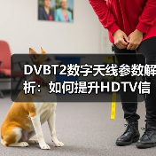 DVBT2数字天线参数解析：如何提升HDTV信号接收效果？（图3）