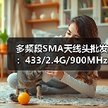 多频段SMA天线头批发:433/2.4G/900MHz兼容连接器现货(图1) 多频段SMA天线头批发:433/2.4G/900MHz兼容连接器现货(图1)