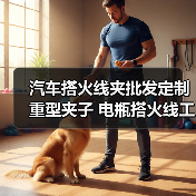汽车搭火线夹批发定制重型夹子 电瓶搭火线工具必备(图4) 汽车搭火线夹批发定制重型夹子 电瓶搭火线工具必备(图4)