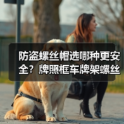 防盗螺丝帽选哪种更安全？牌照框车牌架螺丝帽推荐（图3）