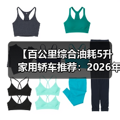 【百公里综合油耗5升家用轿车推荐：2026年省油车型终极指南】（图2）