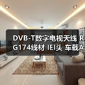 DVB-T数字电视天线 RG174线材 IEI头 车载AP优选（图4）