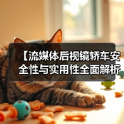 【流媒体后视镜轿车安全性与实用性全面解析,2026年车主必看指南】(图1) 【流媒体后视镜轿车安全性与实用性全面解析,2026年车主必看指南】(图1)