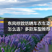 东风标致防晒车衣车罩怎么选？多款车型推荐指南（图3）