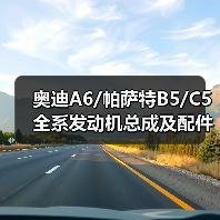 奥迪A6/帕萨特B5/C5全系发动机总成及配件大全(图1) 奥迪A6/帕萨特B5/C5全系发动机总成及配件大全(图1)
