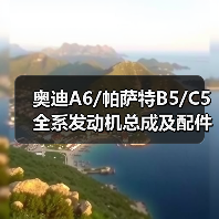 奥迪A6/帕萨特B5/C5全系发动机总成及配件大全(图2) 奥迪A6/帕萨特B5/C5全系发动机总成及配件大全(图2)