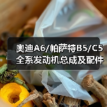 奥迪A6/帕萨特B5/C5全系发动机总成及配件大全(图3) 奥迪A6/帕萨特B5/C5全系发动机总成及配件大全(图3)