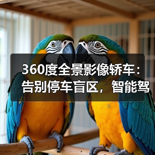 360度全景影像轿车:告别停车盲区,智能驾驶安全新标准(图3) 360度全景影像轿车:告别停车盲区,智能驾驶安全新标准(图3)