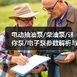 电动抽油泵/柴油泵/迷你泵/电子泵参数解析与选购指南（图1）
