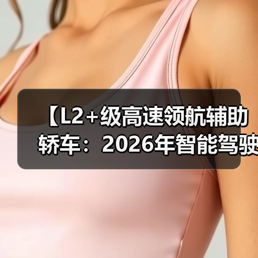 【L2+级高速领航辅助轿车:2026年智能驾驶新体验全面解析】(图3) 【L2+级高速领航辅助轿车:2026年智能驾驶新体验全面解析】(图3)