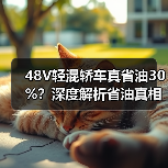 48V轻混轿车真省油30%?深度解析省油真相(图3) 48V轻混轿车真省油30%?深度解析省油真相(图3)