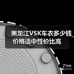 黑龙江VSK车衣多少钱_价格适中性价比高(图2) 黑龙江VSK车衣多少钱_价格适中性价比高(图2)