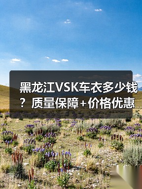 黑龙江VSK车衣多少钱？质量保障+价格优惠，一站式解决方案（图4）