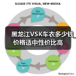 黑龙江VSK车衣多少钱_价格适中性价比高(图3) 黑龙江VSK车衣多少钱_价格适中性价比高(图3)
