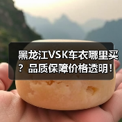 黑龙江VSK车衣哪里买?品质保障价格透明!(图3) 黑龙江VSK车衣哪里买?品质保障价格透明!(图3)