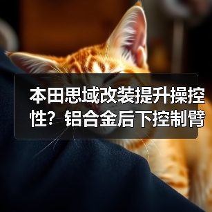 本田思域改装提升操控性?铝合金后下控制臂详解(图2) 本田思域改装提升操控性?铝合金后下控制臂详解(图2)