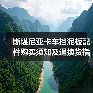 斯堪尼亚卡车挡泥板配件购买须知及退换货指南(图2) 斯堪尼亚卡车挡泥板配件购买须知及退换货指南(图2)