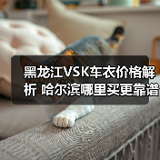 黑龙江VSK车衣价格解析 哈尔滨哪里买更靠谱？（图1）