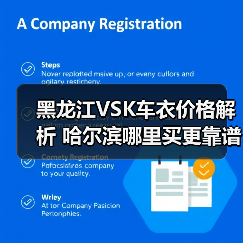 黑龙江VSK车衣价格解析 哈尔滨哪里买更靠谱？（图3）