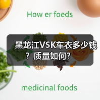 黑龙江VSK车衣多少钱？质量如何？（图1）