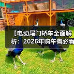 【电动尾门轿车全面解析：2026年购车者必看选购指南】（图1）