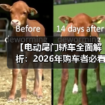 【电动尾门轿车全面解析：2026年购车者必看选购指南】（图3）