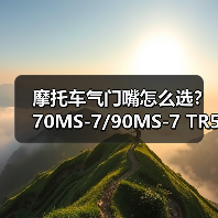 摩托车气门嘴怎么选？70MS-7/90MS-7 TR555D安装指南（图3）