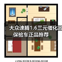 大众速腾1.6三元催化器保验车正品推荐（图1）