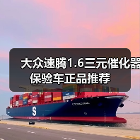 大众速腾1.6三元催化器保验车正品推荐（图2）