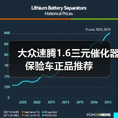 大众速腾1.6三元催化器保验车正品推荐（图4）