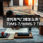 摩托车气门嘴怎么选？70MS-7/90MS-7 TR555D安装指南（图4）