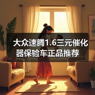 大众速腾1.6三元催化器保验车正品推荐（图3）