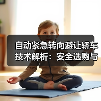 自动紧急转向避让轿车技术解析：安全选购与事故预防指南（图2）