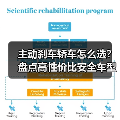 主动刹车轿车怎么选?盘点高性价比安全车型(图2) 主动刹车轿车怎么选?盘点高性价比安全车型(图2)