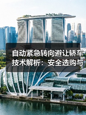 自动紧急转向避让轿车技术解析：安全选购与事故预防指南（图3）
