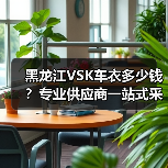 黑龙江VSK车衣多少钱?专业供应商一站式采购指南(图3) 黑龙江VSK车衣多少钱?专业供应商一站式采购指南(图3)